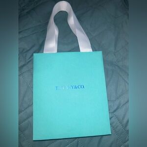 Tiffany limited addition bird on a rock gift bag NWOT